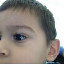 Veronica Olivarez (volivarez3)