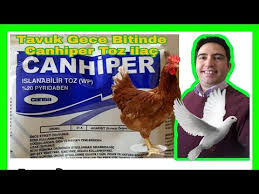 Canhiper Gece Biti Uyuz Ilaci Tavuklarda Bit Ve Guvercinlerde Bit Problemini Kesin Cozer Youtube