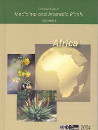 Image result for Blepharispermum pubescens