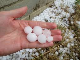 Compartilhar geada, chuva e até neve: Chuva De Granizo Causa Prejuizo A Produtores De Hortalicas Em Sao Paulo