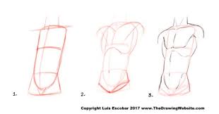 One of the most important thing to keep in mind when drawing the full figure is the proportions or the relation of one body part we will draw a shirt, shorts and socks. Cartoon Body Formulas The Drawing Website