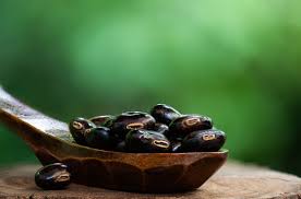 Image result for Mucuna pruriens