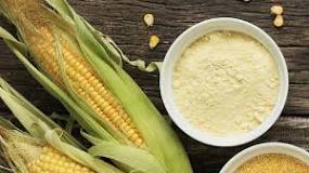 Image result