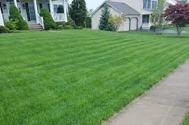 We are now offer interior pest control as well! Professional Lawn Care In Frederick Md Royal Greens