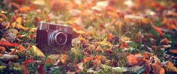 прогулка в облаках смотреть онлайн бесплатно в хорошем качестве Fon Dlya Fejsbuka Kartinki 23 Tys Izobrazhenij Najdeno V Yandeks Kartinkah Vintage Facebook Cover Facebook Cover Photos Best Facebook Cover Photos