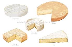 Q Cremosos Suaves Madurados Cortez Enmohecida La Pasta Es Cremosa O Masticable Su Corteza Mas O Menos Aterciop Cheese Types Of Soft Cheese Homemade Cheese
