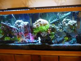 Top fin aquarium background ocean coral reef shipwreck double sided 12x24 $14.99. 2 Pack Penn Plax Deco Replicas Battleship Aquarium Ornament Small Walmart Com Walmart Com