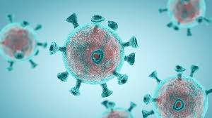 corona new variant XEC spreading 27 countries in three months how effective vaccine कोरोना का नया वैरिएंट आया, 3 महीने में 27 देशों तक फैला; एक्सपर्ट्स से जानिए वैक्सीन कितनी कारगर, International Hindi News - Hindustan