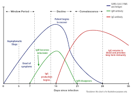 Covid 19 Tests Nasal Virus Pcr And Antibody Rensimer Associates