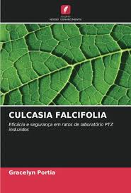 Image result for Culcasia falcifolia