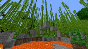 Bamboo is the fastest growing plant in minecraft. Mc 137452 Bamboo Grows In Lots Of Inappropriate Places In Bamboo Jungles Jira