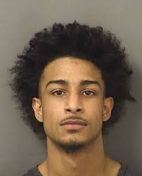 TERRY, CORTNEY Charges 893.135 1C4A (FF) DRUGS-TRAFFIC