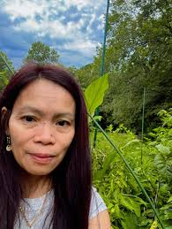 Harvesting eggplant and camote tops