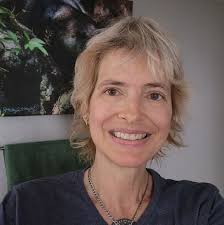 How to remove the fairing from a 2016 Harley Davidson Tri-Glide Ultra?