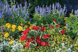 Image result for foto Vitálka