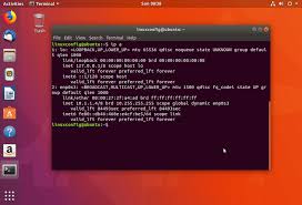 How To Display My Internal Ip Address On Ubuntu 18 04 Bionic Beaver Linux Linuxconfig Org