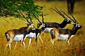 Enchanting Places In Karnataka's Haveri ...