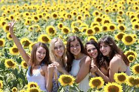 We did not find results for: Sunflowers Italy Best Friends Photos Ideas Picture Travel Vacation Fun Sun Sunflower Sunflower Photography Friend Photoshoot Friend Poses Photography