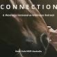 CONNECTION ~ a Womens Wellness Retreat event image