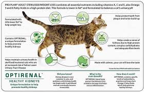 Ideal weight for cats most domestic cats should weigh about 10 pounds, though that can vary by breed and frame. Petworkz Product Details Page Adult Sterilised Weight Loss With Optirenal Proplan