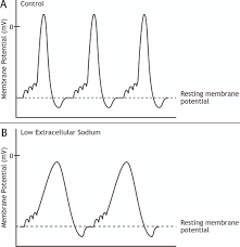Ionic Mechanisms And Action Potentials (Section 1, Chapter 2) Neuroscience  Online: An Electronic Textbook For The Neurosciences | Department Of  Neurobiology And Anatomy - The University Of Texas Medical School At Houston