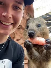 @ShouldHaveAnima's video Tweet