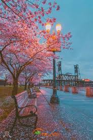 The Seats Are Too Wet To Sit On Wallpapers Aesthetics In 2019 Pinterest Scenery Beautiful Place Schone Hintergrund Bilder Naturbilder Fantasielandschaft