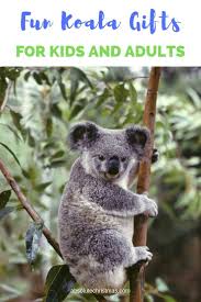 Totally Cute Gifts For Koala Lovers 2020 Koala Funny Koala Cat Lover Gifts