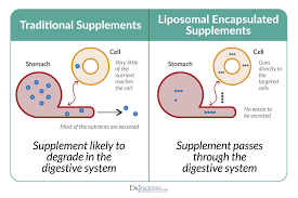 The Remarkable Health Benefits Of Liposomal Vitamin C