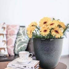 Find a wide selection of indoor plant pots at great value on athome.com, and buy them at your local at home store. China Oem Wholesale Indoor Outdoor Beautiful Decorative Ceramic Glazed Egg Plastic Flower Pot Plant Pot Garden Planter China Flower Pot And Plant Pot Price