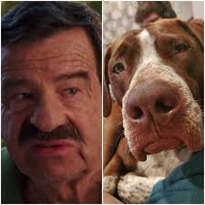 Dennis the menace Yorkshire terror! Two and a half years ago he wouldn't  even look at me. (MT Ken).