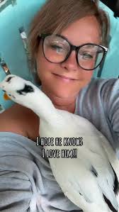 raccoon #raccoonsofinstagram #raccoonlover❤️🐾💯😍