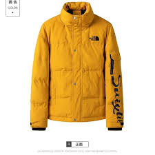 Hotels and airbnbs near the north face 100 malaysia. The North Face Tnf Jacket 3 Colors Shopee Malaysia