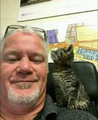 Kitten Rescued from Being Glued to the Road