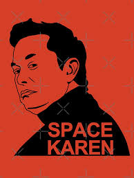 Elon Musk Space Karen" Kids T-Shirt for Sale by Stormy-Rose