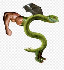 Snakes are a form of reptile. Trogdor Snake Clipart 4102895 Pikpng