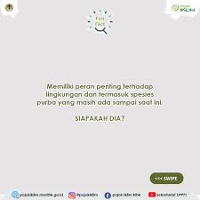 Ia tidak mau mempertimbangkan dalil apa pun yang disampaikan padanya dan tidak bersedia tunduk pada sebuah argumen meski telah mengusik nuraninya. Pojok Iklim On Twitter Salah Satu Bioindikator Lingkungan Perairan Yang Bersih Adalah Hadirnya Keberadaan Suatu Jenis Serangga Yang Hanya Bisa Hidup Dan Berkembang Di Lingkungan Air Yang Bersih Tahukah Sobat Hijau Serangga
