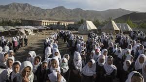 We did not find results for: Afganistan Devochki Trudnaya Doroga V Shkolu Human Rights Watch