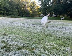 Frost Advisory Issued Across Southern and Central Saskatchewan