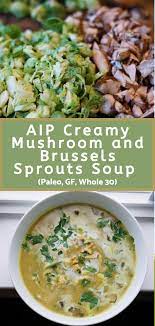Aip Creamy Mushroom And Brussels Sprouts Soup Paleo Gf Whole 30 Recipe Aip Paleo Recipes Whole30 Soup Recipes Healthy Soup Recipes
