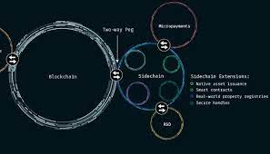 The block chain is a shared public ledger on which the entire bitcoin network relies. The Future Of The Bitcoin Ecosystem And Trustless Trust Why I Invested In Blockstream