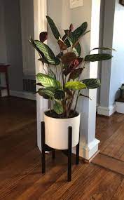 Buy garden plant stands and get the best deals at the lowest prices on ebay! Pin On Plant Aesthetic Indoors Bedroom Plant Decorating Ideas Indoor House Plants Gardening For The Home