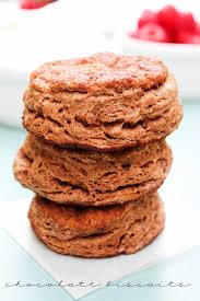 Chocolate Biscuits A Dash Of Sanity Recipe Chocolate Biscuit Recipe Chocolate Biscuits Biscuit Recipe