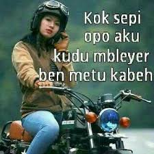 5 years ago 5 years ago. 56 Ide Stiker Lucu Lucu Stiker Lucu Gambar Lucu