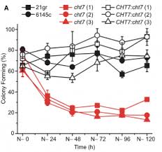 The cell division cycle is normally divided into phases with a defined temporal order. Plantae How To Go Quiet Cht7 Regulates Cell Cycle Exit In Chlamydomonas Plant Cell Plantae