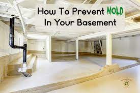 Keeping your basement mold free can be quite a demanding task. How To Prevent Mold In The Basement 13 Basement Mold Tips Mold Help For You