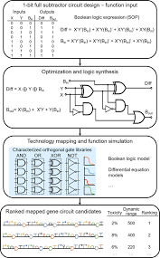 You can choose your academic level: Scaling Up Genetic Circuit Design For Cellular Computing Advances And Prospects Springerlink