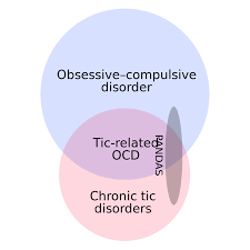 Image result for Tic Disorder