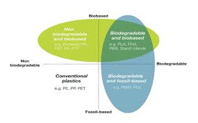 What Are Biodegradable Plastics The Need For A Clarified