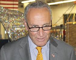 Finch Paper faces "dump" of Chinese competition